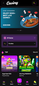 Experience the Thrill of Gaming at Casiny Casino